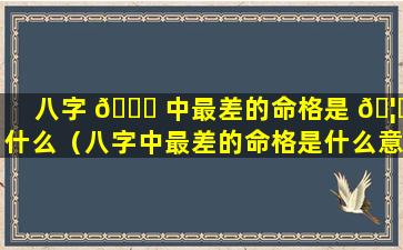 八字 🐋 中最差的命格是 🦍 什么（八字中最差的命格是什么意思）